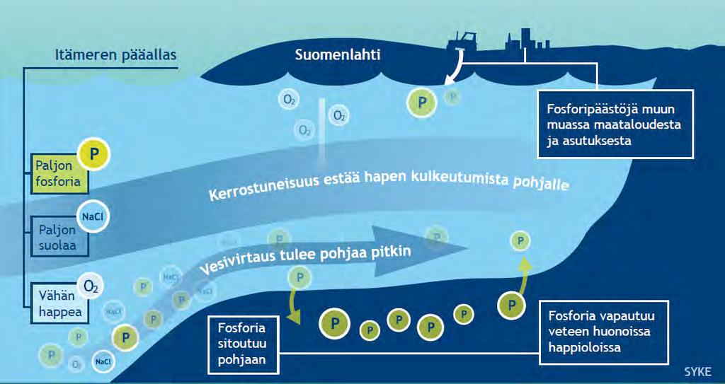 Rehevöittävän