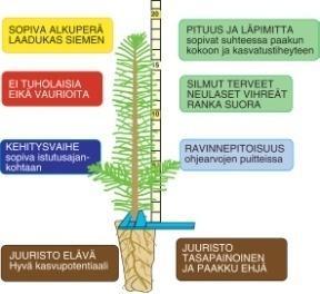 Laatu ja laadunhallinta