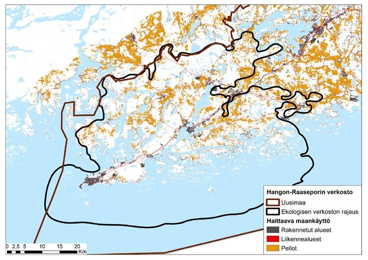 Hangon-Raaseporin verkoston pinta-alasta 18 % käsittää maankäyttöä, joka haittaa alueen sisäistä kytkeytyvyyttä monen eliöryhmän näkökulmasta (Kuva 7).
