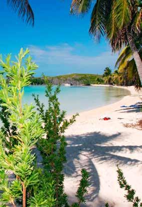 Cozumel Playa de Carmenista liikennöi laivoja Cozumeliin kerran tunnissa tasatunnein. Matka kestää n. 30 45 min ja maksaa n. 360 pesoa/ meno-paluu.