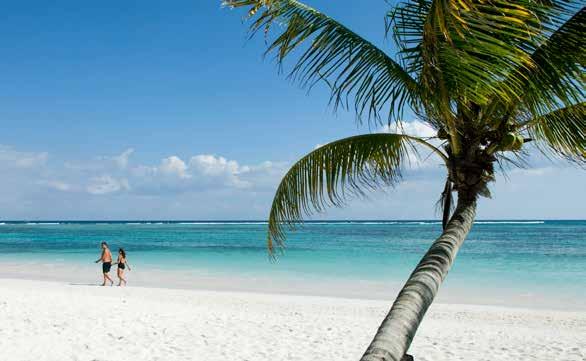 Club, Moon Palace Spa & Golf Club ja Riviera Cancún Golf Club. Lisätietoja saat oppailta. Liikkuminen lomakohteessa Pienet minibussit, ns.