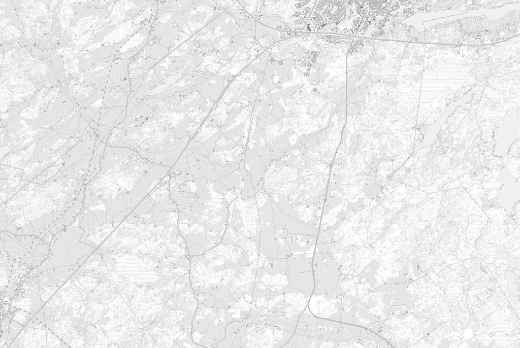 Laulujoutsenen, hanhien ja kur11k 2 7 