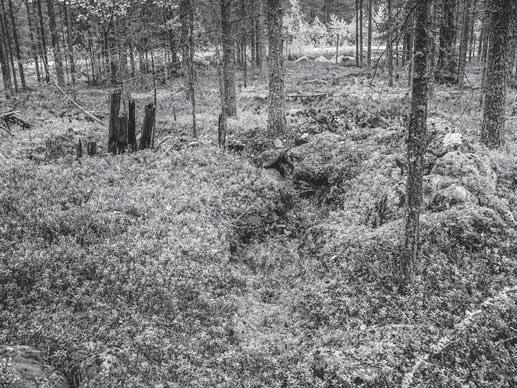 Aikanaan ne ovat tietysti olleet syvempiä ja todennäköisesti paalutuksin ja ehkä hiekkasäkein suojattuja ja ilmeisesti alueella on ollut myös piikkilanka-aitaa.