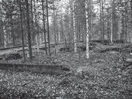 Vankileirin ympäristössä on löydettävissä 11 rakennuksen paikkaa, niiden betoni- ja tiilijäänteitä, korsun kuoppa, muita kaivantoja, mahdollisia saksalaisten taisteluhautakaivantoja ja metalliromua.