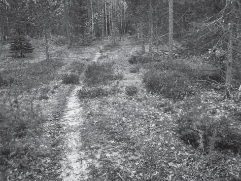 Suomen puolustusvoimat otti luolan sodan jälkeen käyttöönsä, laajensi sitä sekä rakensi ylemmäksi isomman luolan.