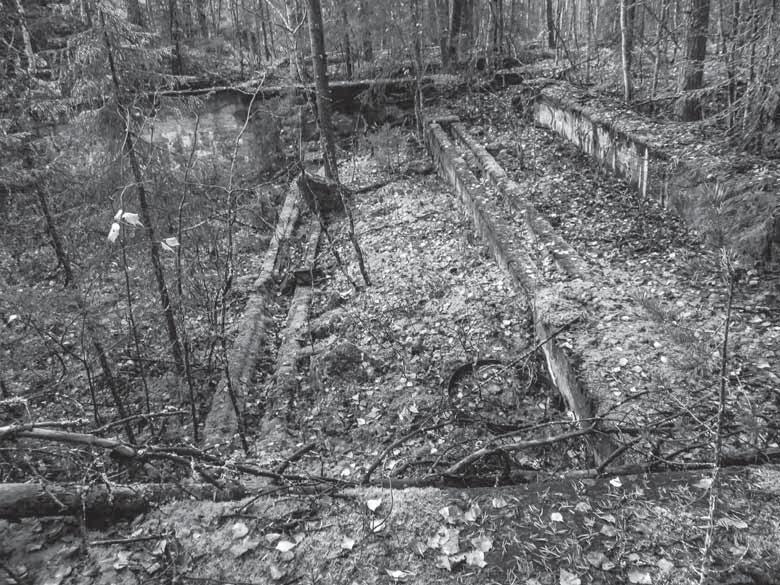 Suuren rakennuksen pohjan betonijäänteitä Ison Olkkavaaran alueella. Kuva: Kalevi Mikkonen.