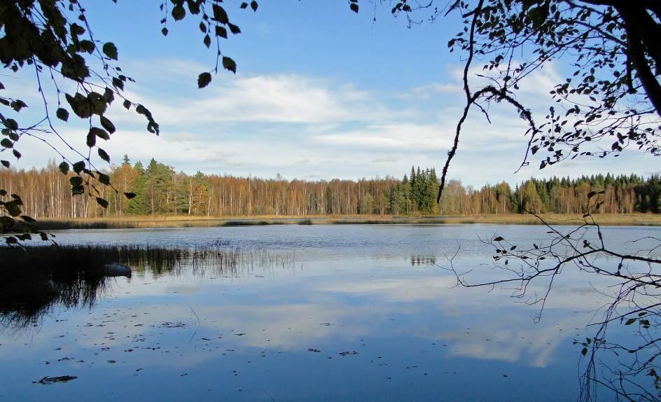 14 4.3. Osa-alueet 4.3.1. Vesialueet Alueen halki virtaa Noormarkunjoki.
