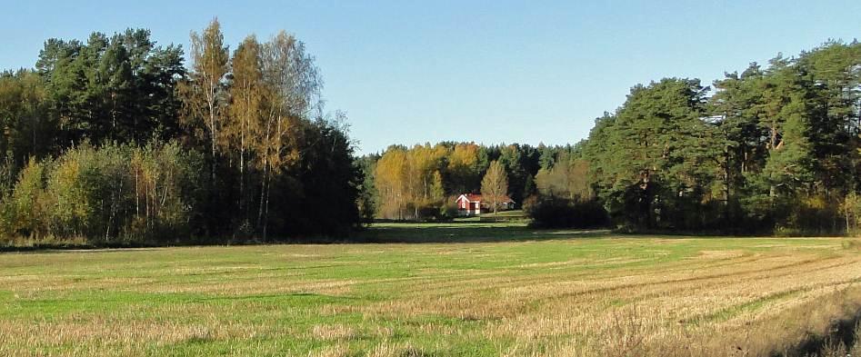 Seppäinmäkeä.