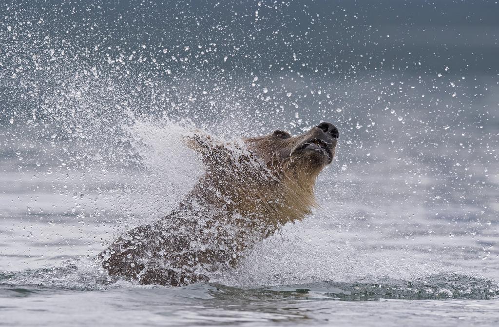 VENÄJÄN KAMCHATKA 14.-28.7.2018 Muutokset ohjelmassa ja lentoreiteissä ovat mahdollisia. La 14.7.2018 Helsinki Moskova - Petropavlovsky-Kamchatsky Matka alkaa Helsinki-Vantaalta aamulennolla Moskovaan ja edelleen suoralla lennolla Petropavlovsky-Kamtsatskylle.