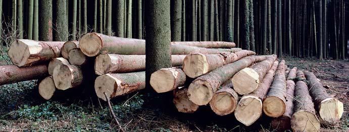 metsistä korjataan. Raaka-aineen hankinnassa Karelialle myönnetty CoC*-sertifikaatti varmentaa puun alkuperän.