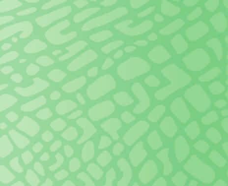 Evernote eri