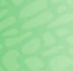Evernote Web Clipper Evernote Web Clipperillä voi tallentaa kotisivuja ja lukea niitä myöhemmin ilman verkkoyhteyttä.