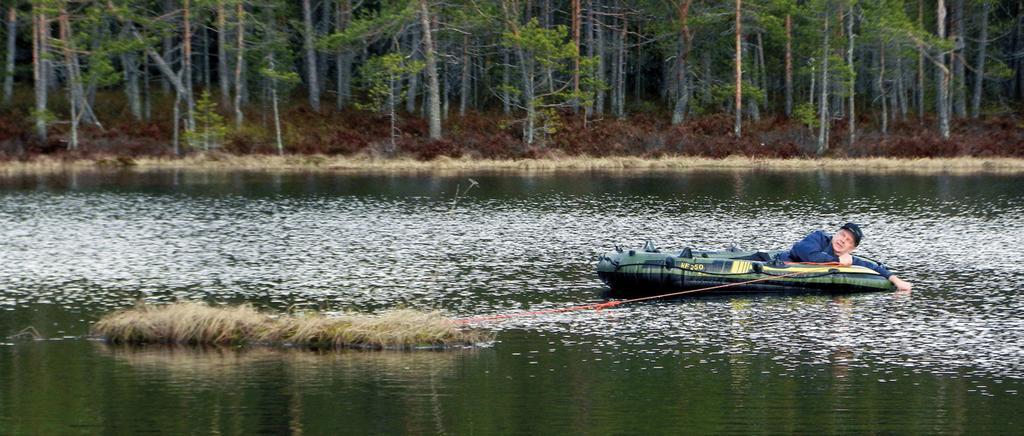 Mikä tahansa lampi ei käy, sillä molemmat lajit tarvitsevat rauhallisen pesimäpaikan, sekä pitkän kiitoradan päästäkseen siivilleen.