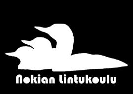 Samalla voin järjestää lintutapahtumia, kun itse havainnoin lintuja ja luontoa, Anne kertoo.
