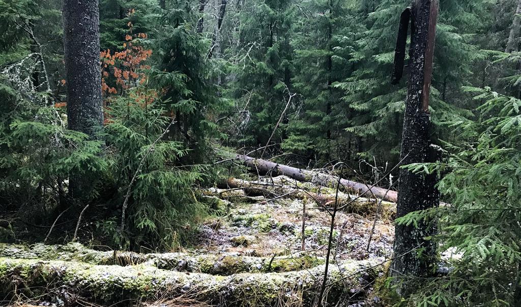 Menetelmä turvaa vesien laatua ja kulttuuriperintöä ja ylläpitää paremmin ihmisen luonnosta saamia aineellisia ja aineettomia hyötyjä ja luonnonvaroja kuten happi, makea vesi, veden puhdistus,