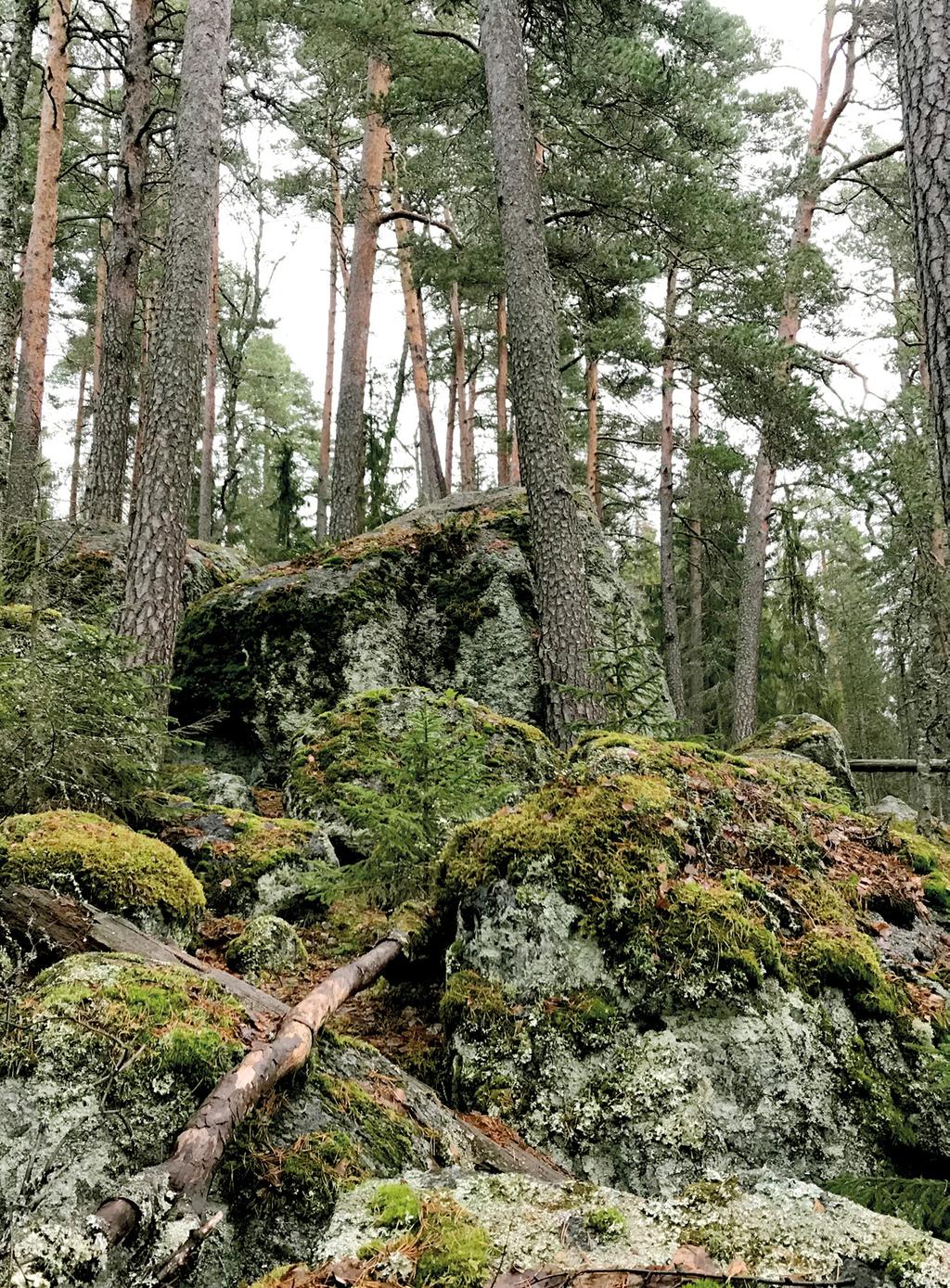 Aivan niin kuin Vatikaani on pyhä katolisille.