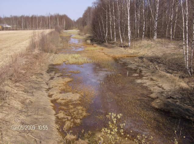 Avo-ojat, ojat, rummut, salaojat Laiminlyöty hulevesijärjestelmän osa Avo-ojat ojat edellyttävät enemmän kunnossapitoa kuin putkiverkot.