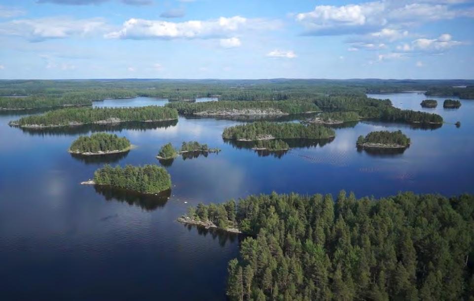Puulan ja Kyyveden Naturaaluekokonaisuuden hoito- ja käyttösuunnitelma