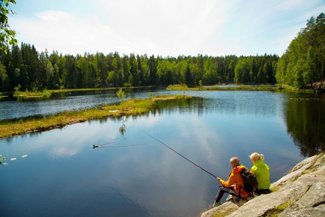 muuntuneisuuteen (kontaminaatioon) liittyvä ekologinen riski Yleisohjeistus ainekohtaiseen arviointiin Esimerkki ainekohtaisesta