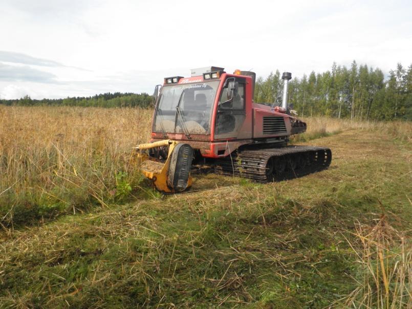 reunavyöhykkeineen Riittävä