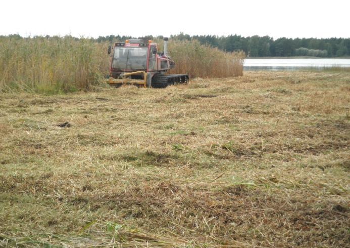 Pilottikokeet Satakunnassa Merenrantaniityn kunnostus syksyllä 2011 Eurajoen Väkkäränperällä Niitto-