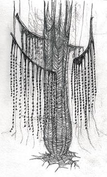 Behind my work are some thoughts of womanhood, its definitions, expectations eokseni saavat alkunsa ta rinoista, yksitt isen sanan her tt m st kuvasta, musiikin tai eloku van tunnelmasta and fears.