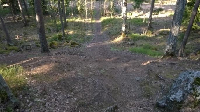 8 (16) 2.5 Mielakan etsien nykytila Mielakan etsät oat pääosin arttuneita, runsaspuustoisia etsiä.
