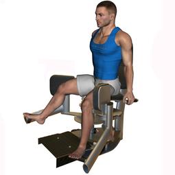 Voit tehdä selkäliikkeen myös selkä pyöreästi rullaten. LANTIOTUKI REIDEN LOITONTAJAT, REIDEN ULKO-OSAT Säädä painot.