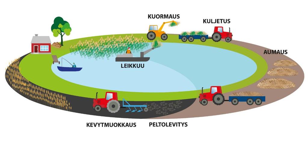 Ruo on peltokäytön