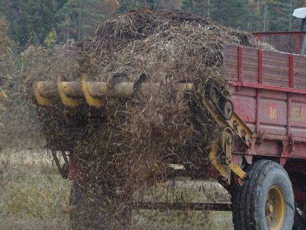 Kuvat: Hia Sjöblom Ruokopelto-hanke Luodon tila, Lemu Luodon tilan kahden hehtaarin koelohko sai ruokoa ensimmäisenä vuonna 80m 3 per hehtaari ja toisena 50 m 3 per hehtaari.