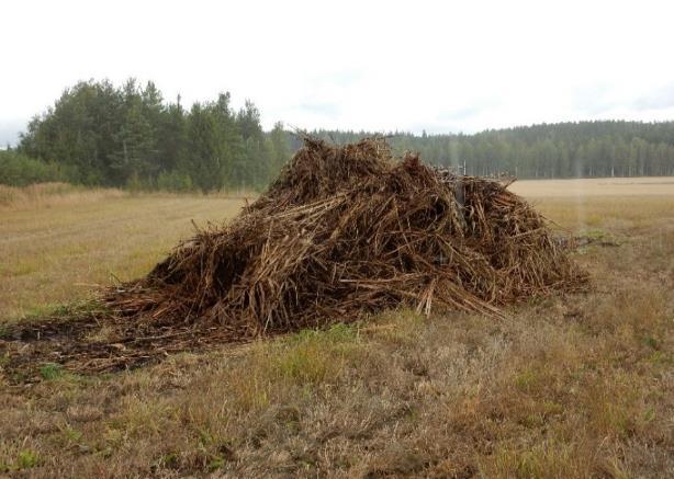 Kokemuksia muualta Laukanlahti Laukanlahdella levitettiin syksyllä 2015