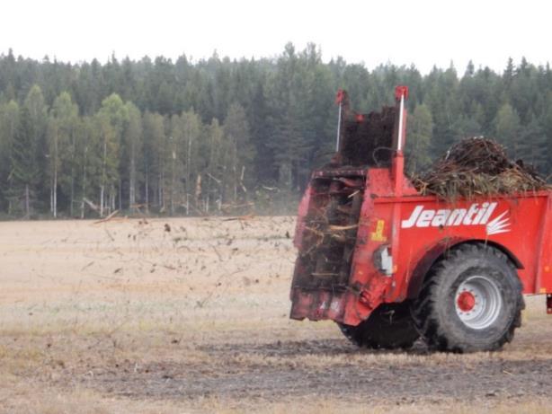 Ruoko oli samana kesänä leikattua eikä siitä otettu mitään analyyseja.