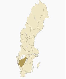 Härkäpapupiilokas Ruotsissa v. 2008 ensimmäistä kertaa Skånessa, v.