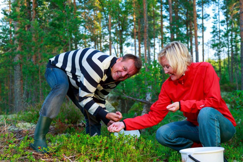 Mitä hyötyä Kykyviisarista?