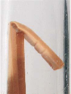 E-P Saneeraustulpat Saneeraustulppa kuvattuna lasiputkessa Tarpeettomien tai ylimääräisten putkienpäiden