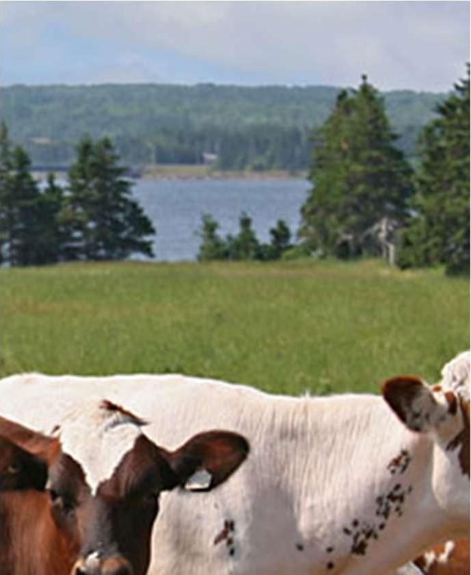 Eläinten paikantaminen Käytössä: Eläinkamerat