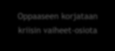 Liite 4: Sisällönanalyysi: Tunne- ja kriisi teemat Alkuperäisilmaukset Pelkistetty ilmaus Alaluokka Kriisin vaiheet