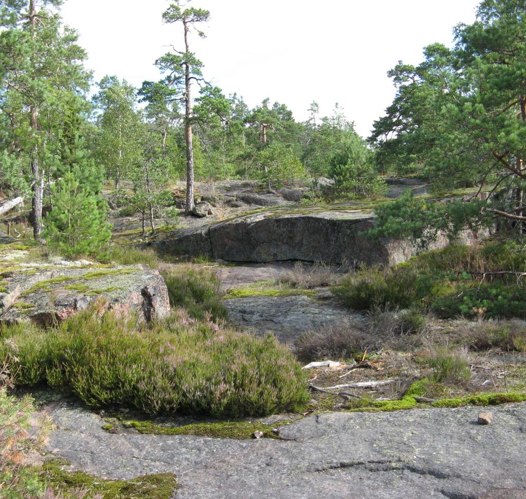 SUINONSALMEN LUONTOSELVITYS Esa