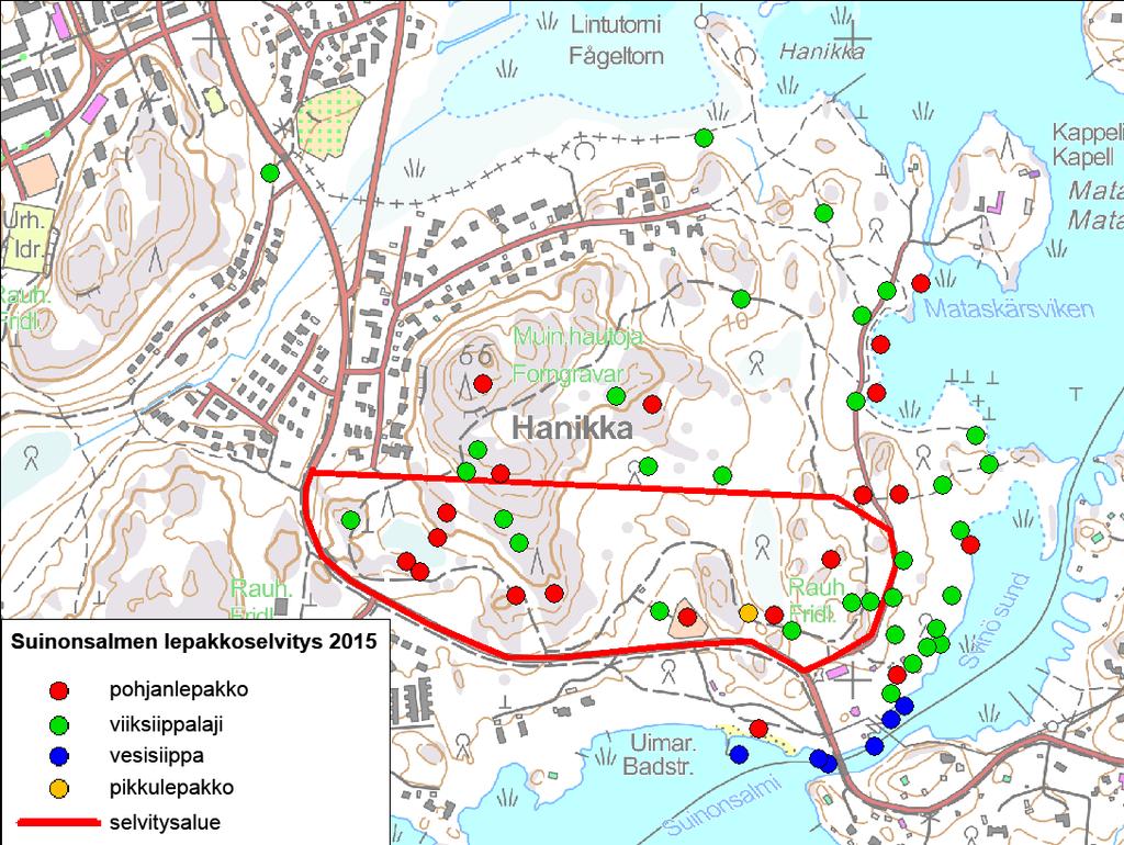 Kuva 11. Selvitysalueella ja sen lähiympäristössä kartoituskierroksilla havaitut lepakot. Kukin piste kuvaa yhtä tai useampaa paikalla havaittua lepakkoa.