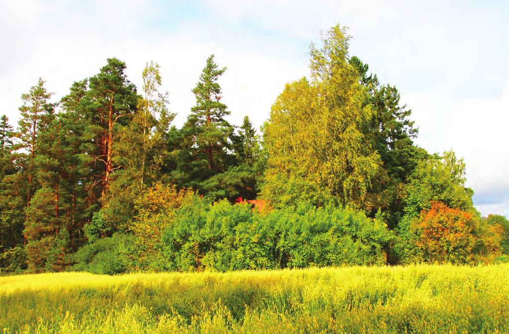 Tiedottminen Lähtöohtn tiedottmie on, että niillä, joit vtyö oee on mhdollit eurt uunnitlu j ollitu iihen.