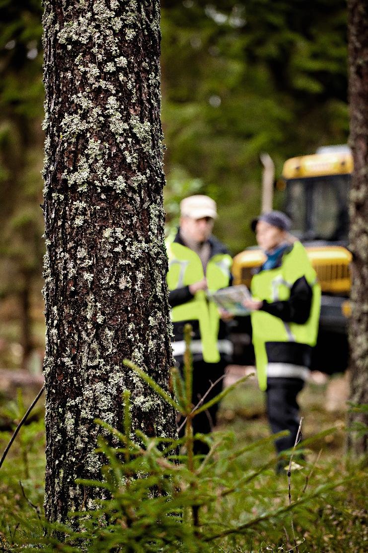 Maisematyölupatarve Eri kunnissa erilainen tulkinta, mitkä metsätalouden työlajit vaativat maisematyöluvan eli mitkä työlajit maisemaa muuttavia (esim.