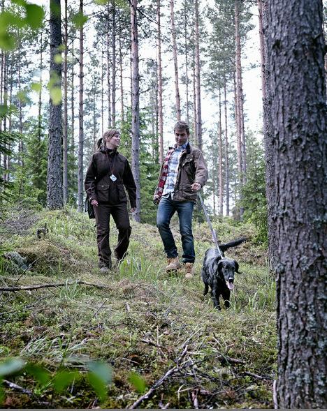 Maisematyöluvan voimassaolo Maisematyöluvan kesto: yleensä 3 vuotta Lupa tai viranomaishyväksyntä on rauennut, jollei toimenpidettä ole suoritettu luvan voimassaoloaikana Myös puukauppasopimuksissa