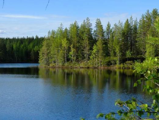 Niskanselän ranta-asemakaava Kaava- alue sijaitsee