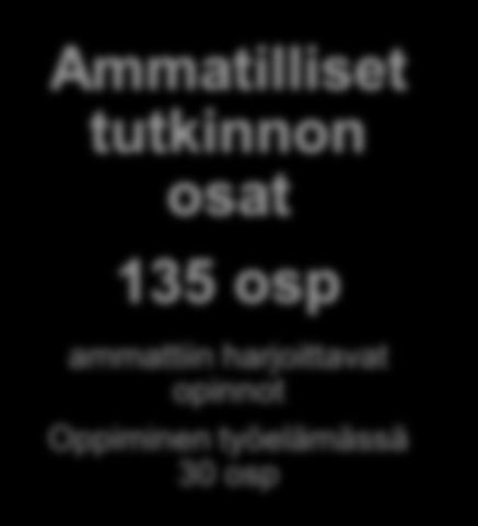 Mitä ammattiopistossa opiskellaan?