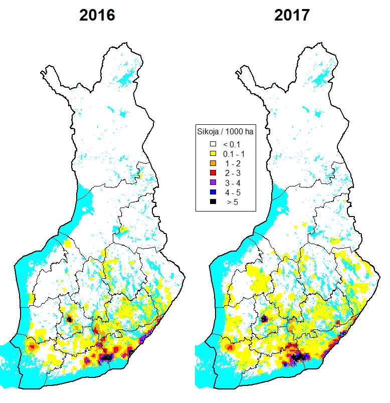 Kuva 1. Villisian levinneisyys ja runsaus hirvenmetsästäjien arvioihin perustuen metsästyskausien 2016 ja 2017 lopussa.