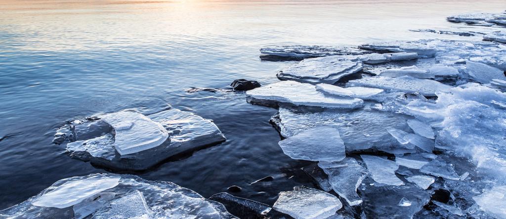 SUOMEN LUONTO ON HERKKÄ JA ERITYINEN Suomen luonto on siitä erikoinen, että meillä kohtaavat monet päälevinneisyydeltään pohjoiset ja eteläiset lajit.