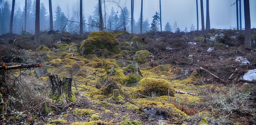 LUONNON TURVAAMINEN ON TÄRKEÄÄ MYÖS SUOJELUALUEIDEN ULKOPUOLELLA Parhaiten ilmastonmuutoksen haasteisiin pystyvät vastaamaan suuret ja kytkeytyneet suojelualueet.