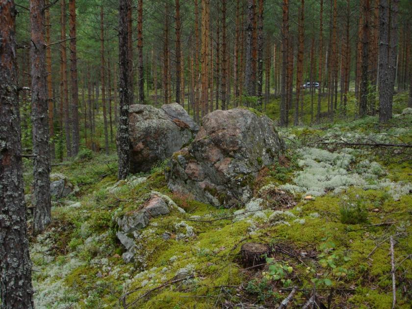 Lampien eteläpuolella aines on C-luokkaa. Ydinosien pinta-ala on 18 ha, keskipaksuus 8 m ja massat noin 1.5 milj. m 3. Liepeillä on runsaasti hiekkaa. Kuva 2.