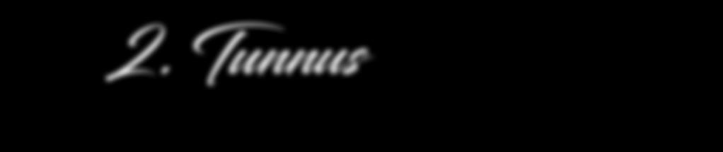 4-värinen tunnus on aina määriteltyjen värien mukaisesti vihreällä pohjalla, keltainen kulma ja valkoinen Sotilaskoti-logo. Kaikki erikoistapaukset on suunniteltava erikseen.