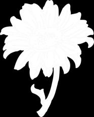 TEATTERIT JA AIRA SAMULININ HYRSYLÄN MUTKA KUTSUVAT!!! Vaikka talvea vielä mennään, niin meillä on jo mielessä kevään ja kesän menoja.